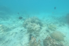 DCIM100GOPROGOPR0387.JPG